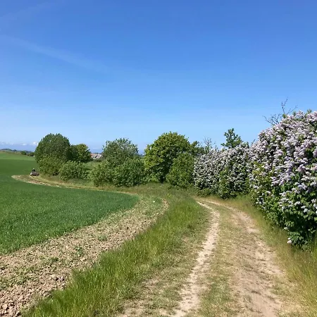 Vingard - Bed&bath Nyaraló *