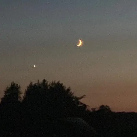 Vingard - Bed&bath *