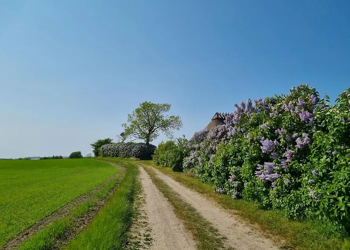 Semesterbostad Vingard - Bed&bath